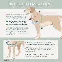 unnamed.webp