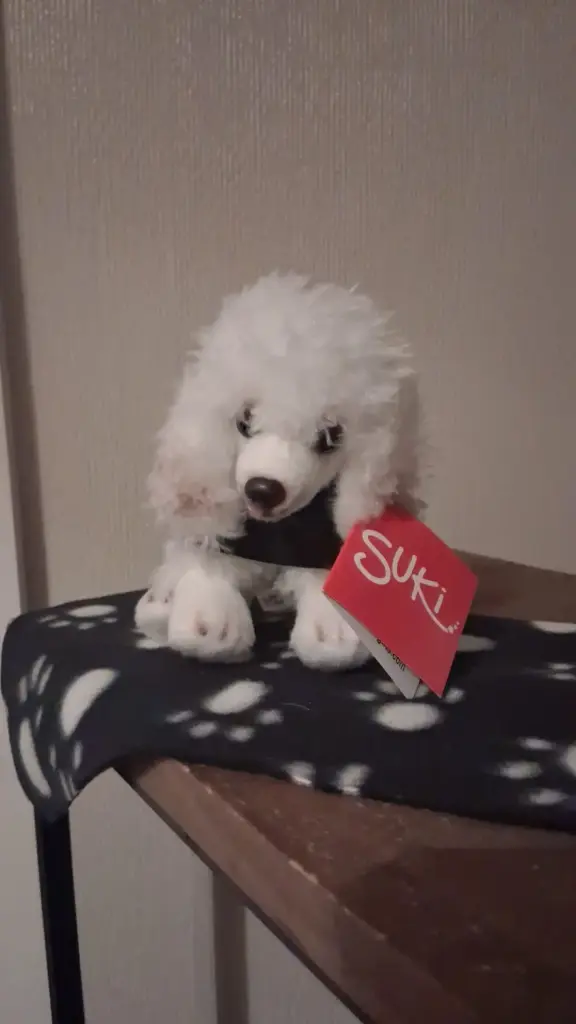Canine Allies Plushie
