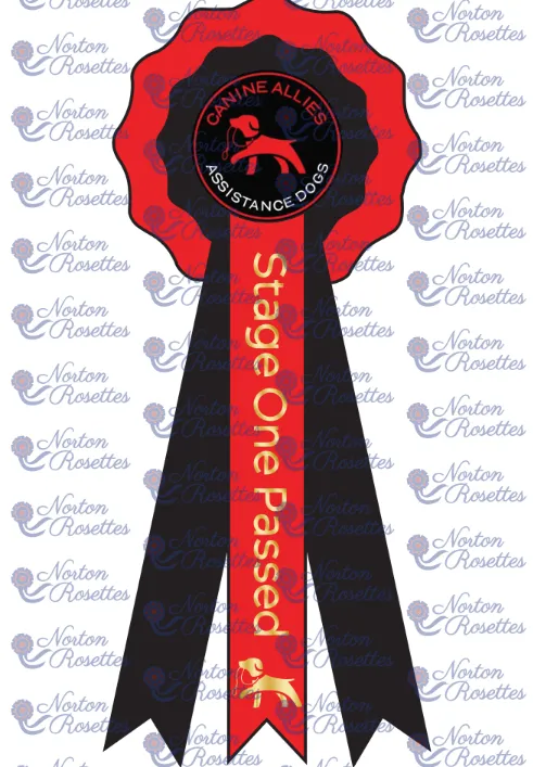 Stage 1-4 Certificate