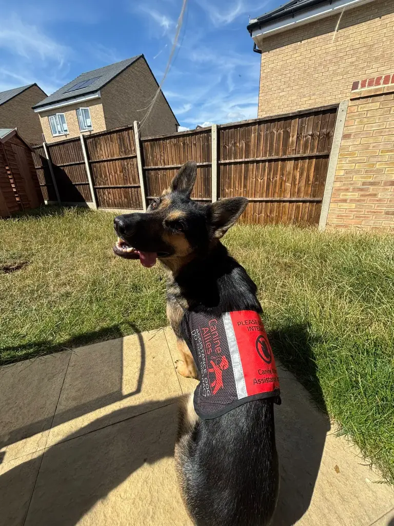 Mesh (Summer) Vest (In Training)