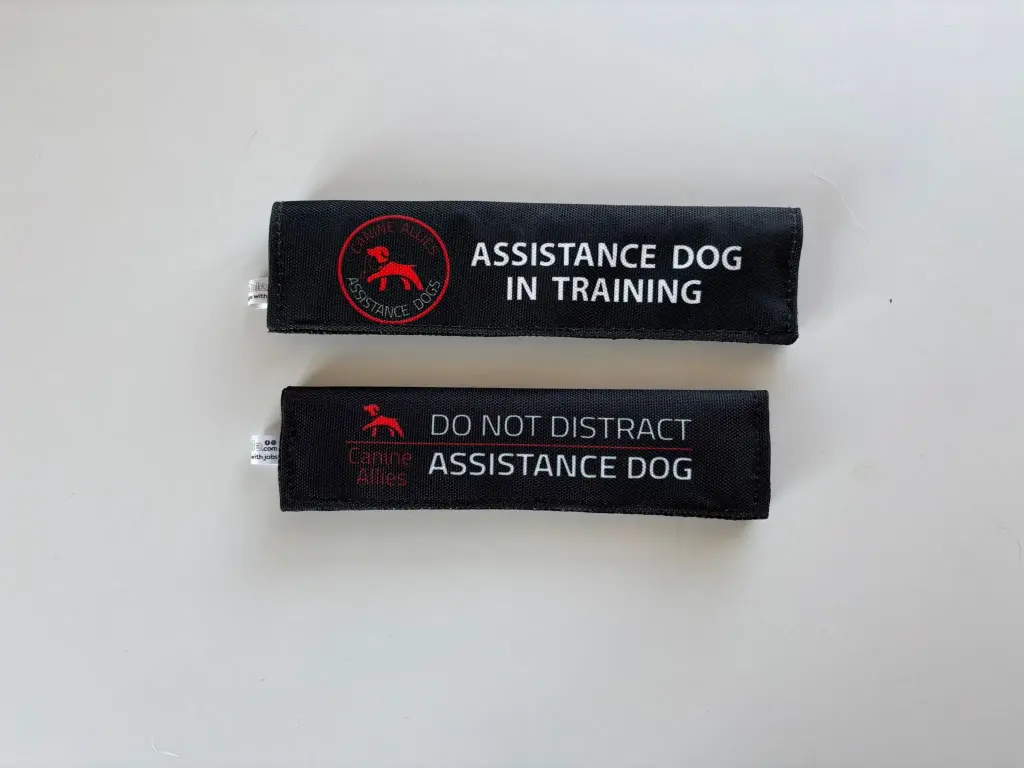 Leash Wrap [Black] (In Training)