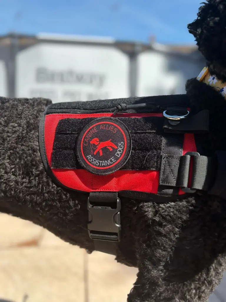 Round Patch