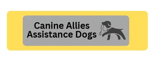 Leash Wraps - Reflective