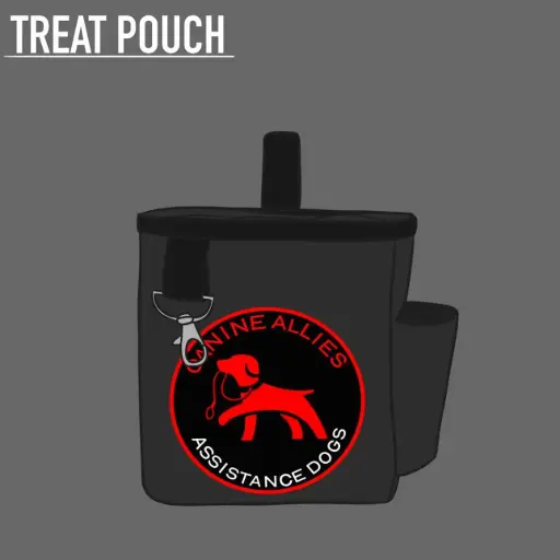 Treat Pouch