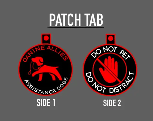 Patch Tab