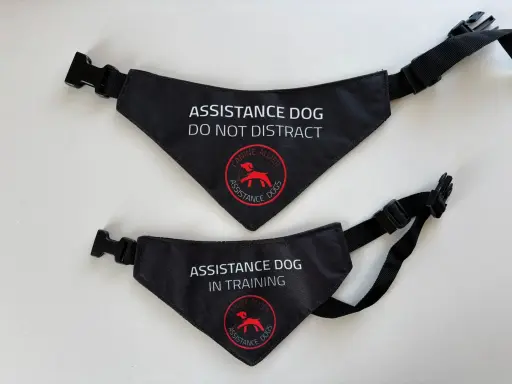 Printed Bandana