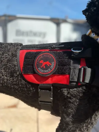 Round Patch